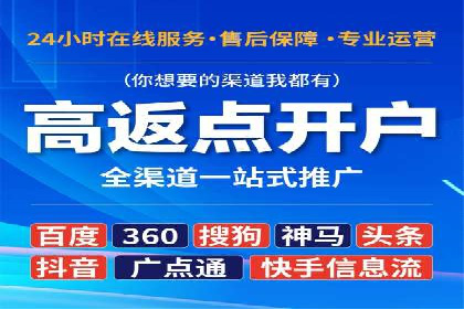 百度竞价排名实战：某行业领先企业的成功之路